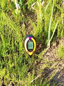 シンワ測定 デジタル土壌酸度計で畑のphを測ってみた 一回目 自然栽培農家 ビリーズマーケットのブログ