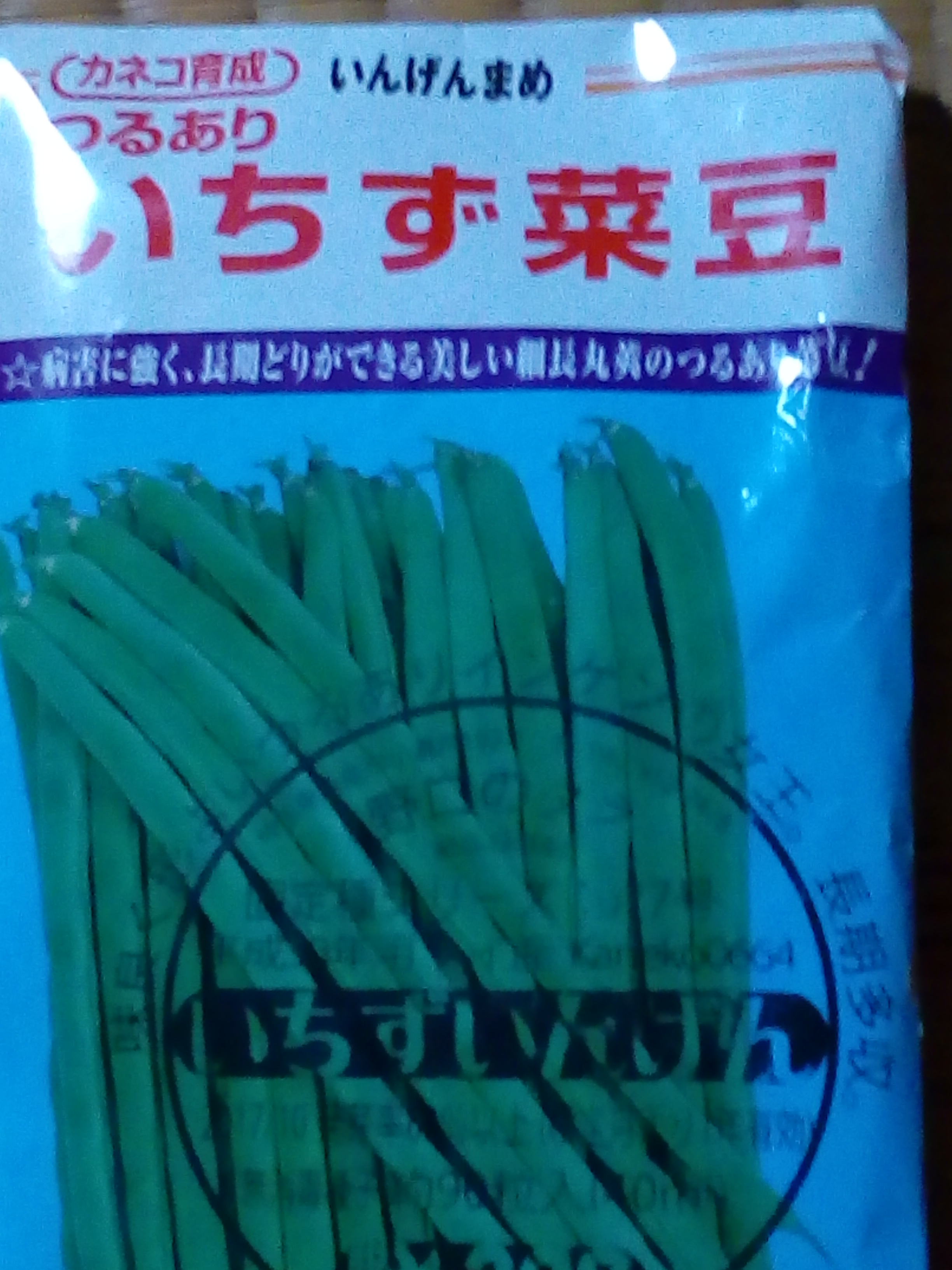 インゲン豆の栽培 ベランダなどでの家庭菜園に向いているかもね 自然栽培農家 ビリーズマーケットのブログ