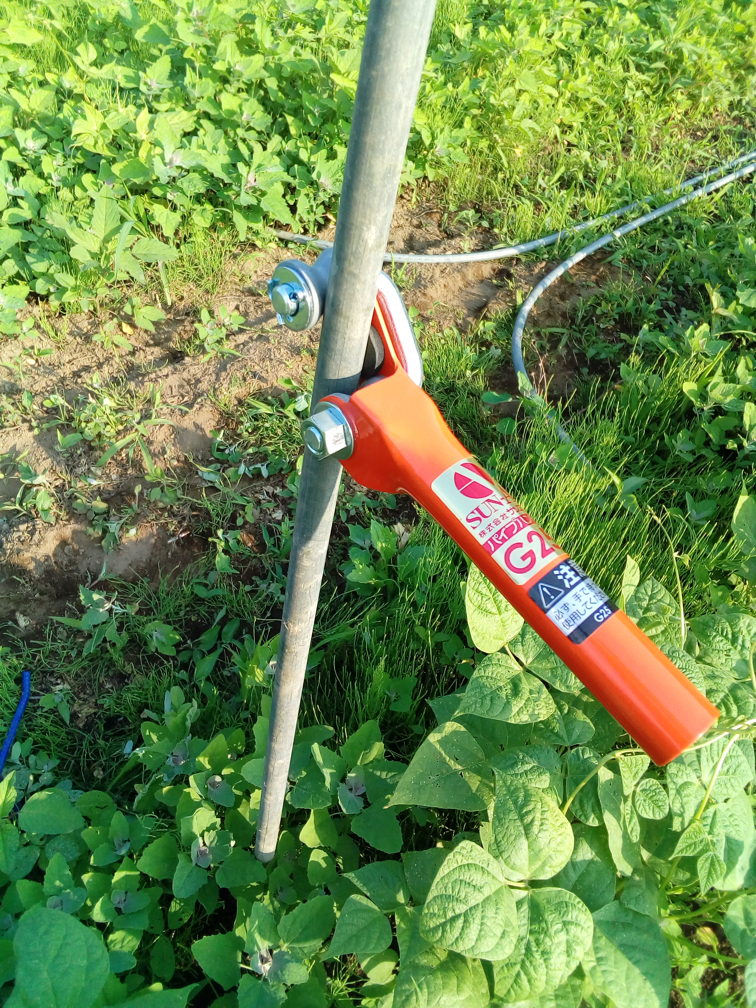 畑に支柱を立てる補助器具。サンエー パイプ立て器 パイプハンドG２５を使ってみた。１回目レビュー。  自然栽培農家。ビリーズマーケットのおいしいブログ。